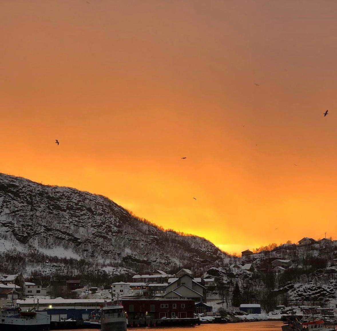 Arctic Loft Lägenhet Skjervoy Exteriör bild